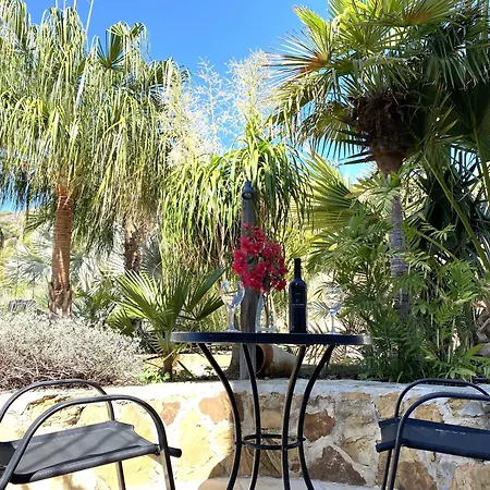 Daire Ground Floor Apartment, With Spectacular Pool In Rural El Moralejo *